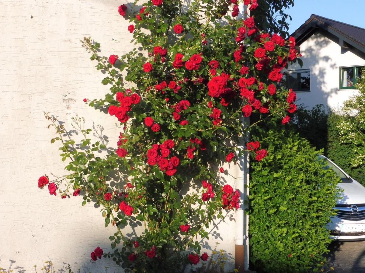 Apartment With Terrace And Pool In The Garden Pracht المظهر الخارجي الصورة